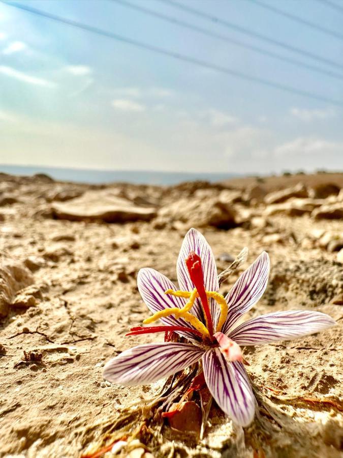 Wadi Al-Wala View Camp Hotel Madaba Bagian luar foto